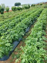 팜모닝 자유주제·자유게시판 게시글 이미지