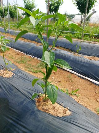 이명규님의 자유주제 · 자유게시판 작성글 사진