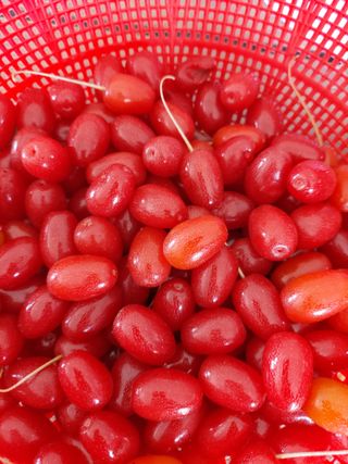 이명규님의 자유주제 · 자유게시판 작성글 사진