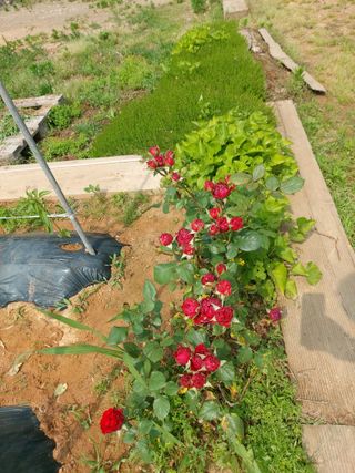 이명규님의 자유주제 · 자유게시판 작성글 사진