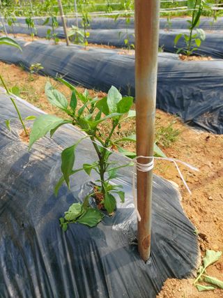 이명규님의 자유주제 · 자유게시판 작성글 사진