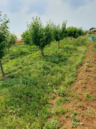 이명규님의 자유주제 · 자유게시판 작성글 사진