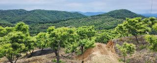 조한규(김효정)님의 기타작물 · 자유게시판 작성글 사진