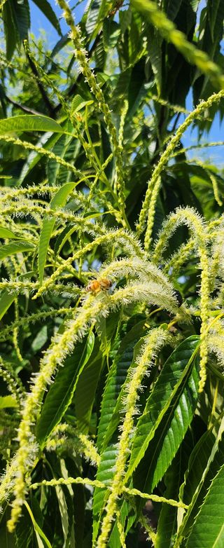 조한규(김효정)님의 기타작물 · 자유게시판 작성글 사진