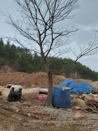 내남님의 작성글 사진