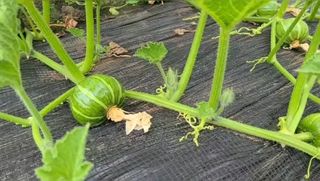 그린톡톡 오계상님의 자유주제 · 자유게시판 작성글 사진