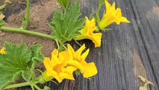 그린톡톡 오계상님의 자유주제 · 자유게시판 작성글 사진