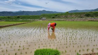 구선님의 자유주제 · 사진전 작성글 사진