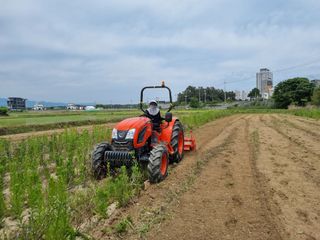 손민해님의 들깨 · 자유게시판 작성글 사진