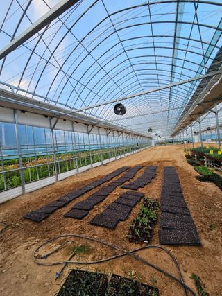 손민해님의 들깨 · 자유게시판 작성글 사진