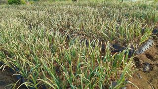 윤형식 님의 자유주제 · 자유게시판 작성글 사진