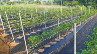 윤형식 님의 자유주제 · 자유게시판 작성글 사진