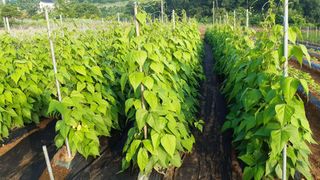 윤형식 님의 자유주제 · 자유게시판 작성글 사진