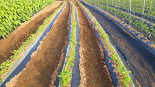 윤형식 님의 자유주제 · 자유게시판 작성글 사진