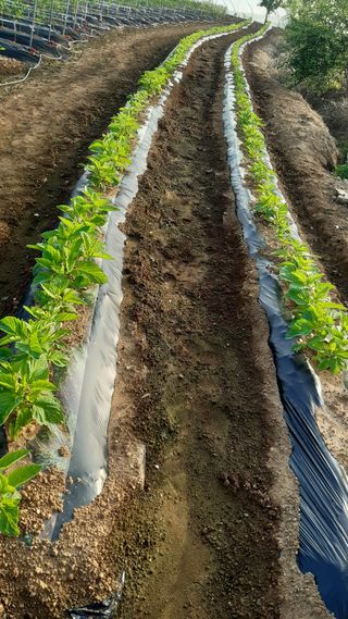 윤형식 님의 자유주제 · 자유게시판 작성글 사진