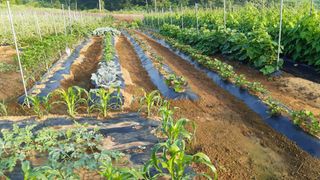윤형식 님의 자유주제 · 자유게시판 작성글 사진