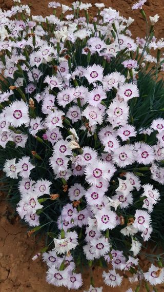 윤형식 님의 자유주제 · 자유게시판 작성글 사진