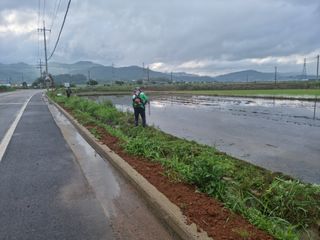 알 수 없음님의 벼 · 자유게시판 작성글 사진