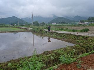 알 수 없음님의 벼 · 자유게시판 작성글 사진