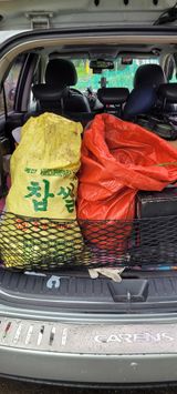 로즈마리님의 토마토·생장기 농작업 작성글 사진