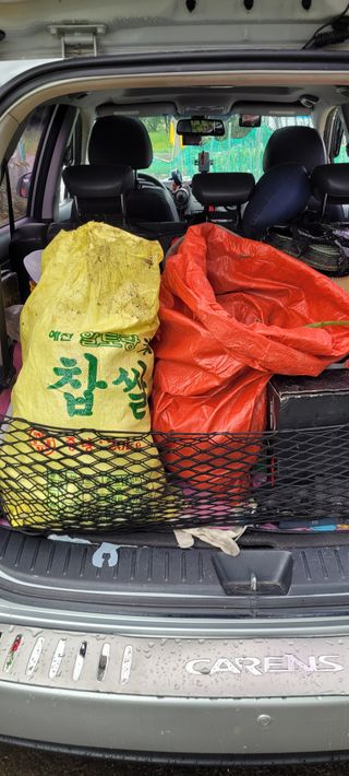 로즈마리님의 토마토 · 생장기 농작업 작성글 사진