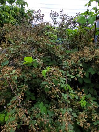 권석민님의 기타작물 · 자유게시판 작성글 사진