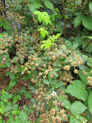 권석민님의 기타작물 · 자유게시판 작성글 사진