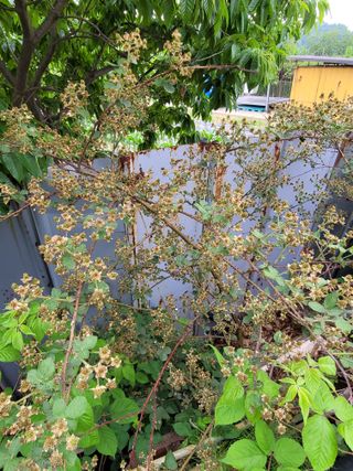 권석민님의 기타작물 · 자유게시판 작성글 사진