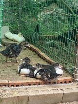 팜모닝 자유주제·자유게시판 게시글 이미지