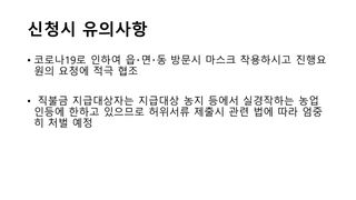 세계평화랑님의 기타작물 · 병해충상담 작성글 사진