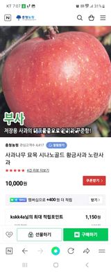 팜모닝 사과·일상 게시글 이미지