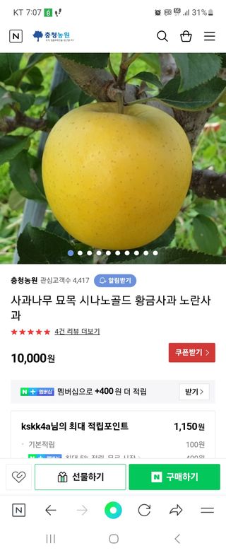 신사임당님의 사과 · 일상 작성글 사진