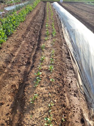 정택님의 기타작물 · 자유게시판 작성글 사진