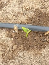 팜모닝 기타작물·자유게시판 게시글 이미지