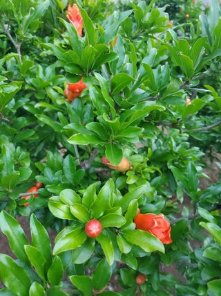 서정훈 님의 자유주제 · 자유게시판 작성글 사진