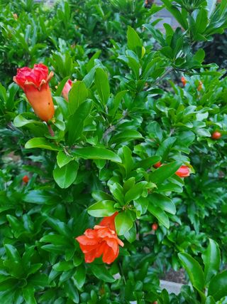 서정훈 님의 자유주제 · 자유게시판 작성글 사진