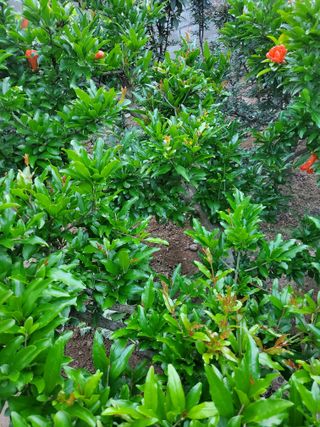 서정훈 님의 자유주제 · 자유게시판 작성글 사진