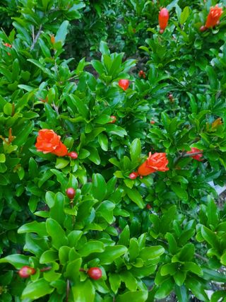 서정훈 님의 자유주제 · 자유게시판 작성글 사진