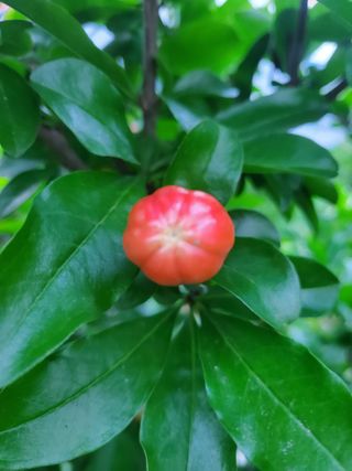 서정훈 님의 자유주제 · 자유게시판 작성글 사진