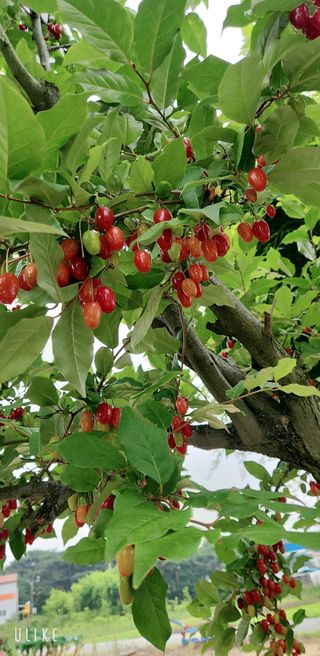 이제윤님의 기타작물 · 자유게시판 작성글 사진