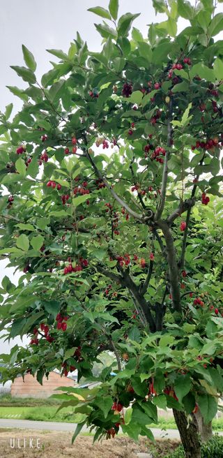 이제윤님의 기타작물 · 자유게시판 작성글 사진