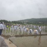 팜모닝 우리동네·동네자랑 게시글 이미지