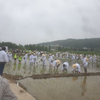 강물님의 우리동네 · 동네자랑 작성글 사진