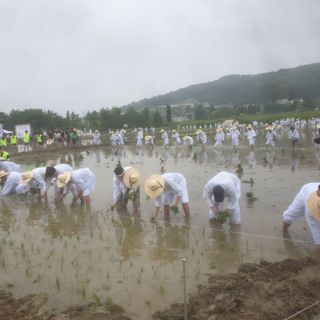 강물님의 우리동네 · 동네자랑 작성글 사진