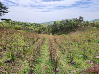 홍승한님의 작성글 사진