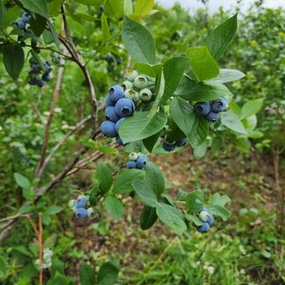 홍승한님의 작성글 사진