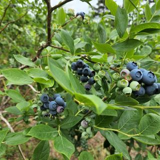 홍승한님의 작성글 사진