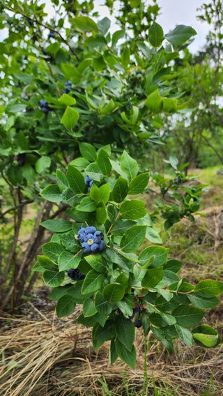 홍승한님의 작성글 사진