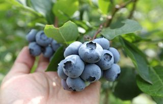 홍승한님의 작성글 사진