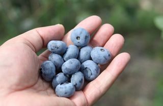 홍승한님의 작성글 사진